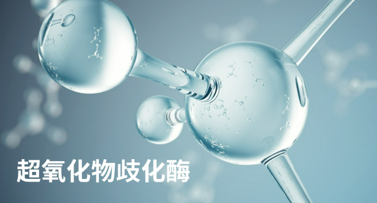 世界对“超氧化物歧化酶”的作用的权威认定