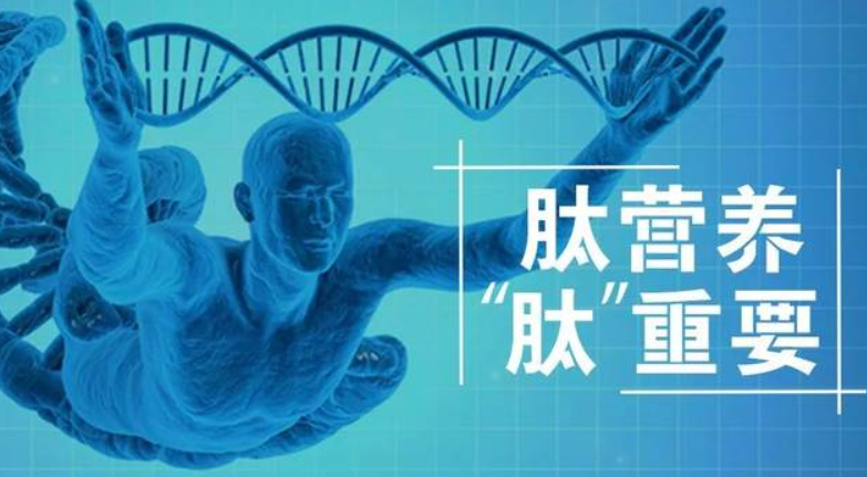 科学家对肽的评价