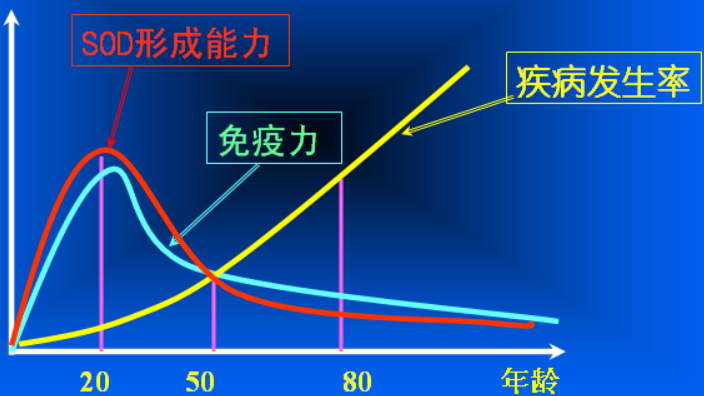 1690538488941.jpg
