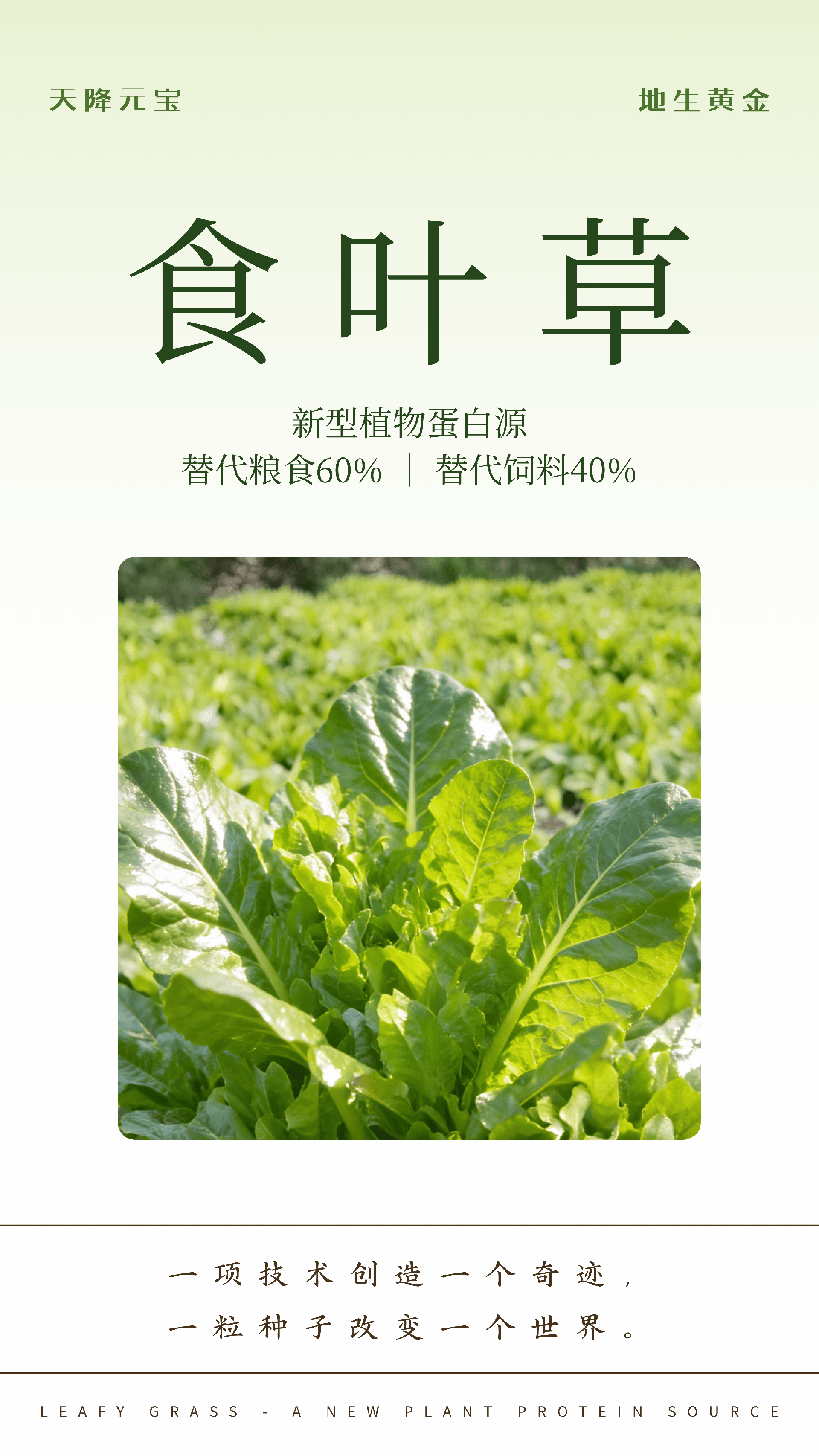 食叶草 - 1.png