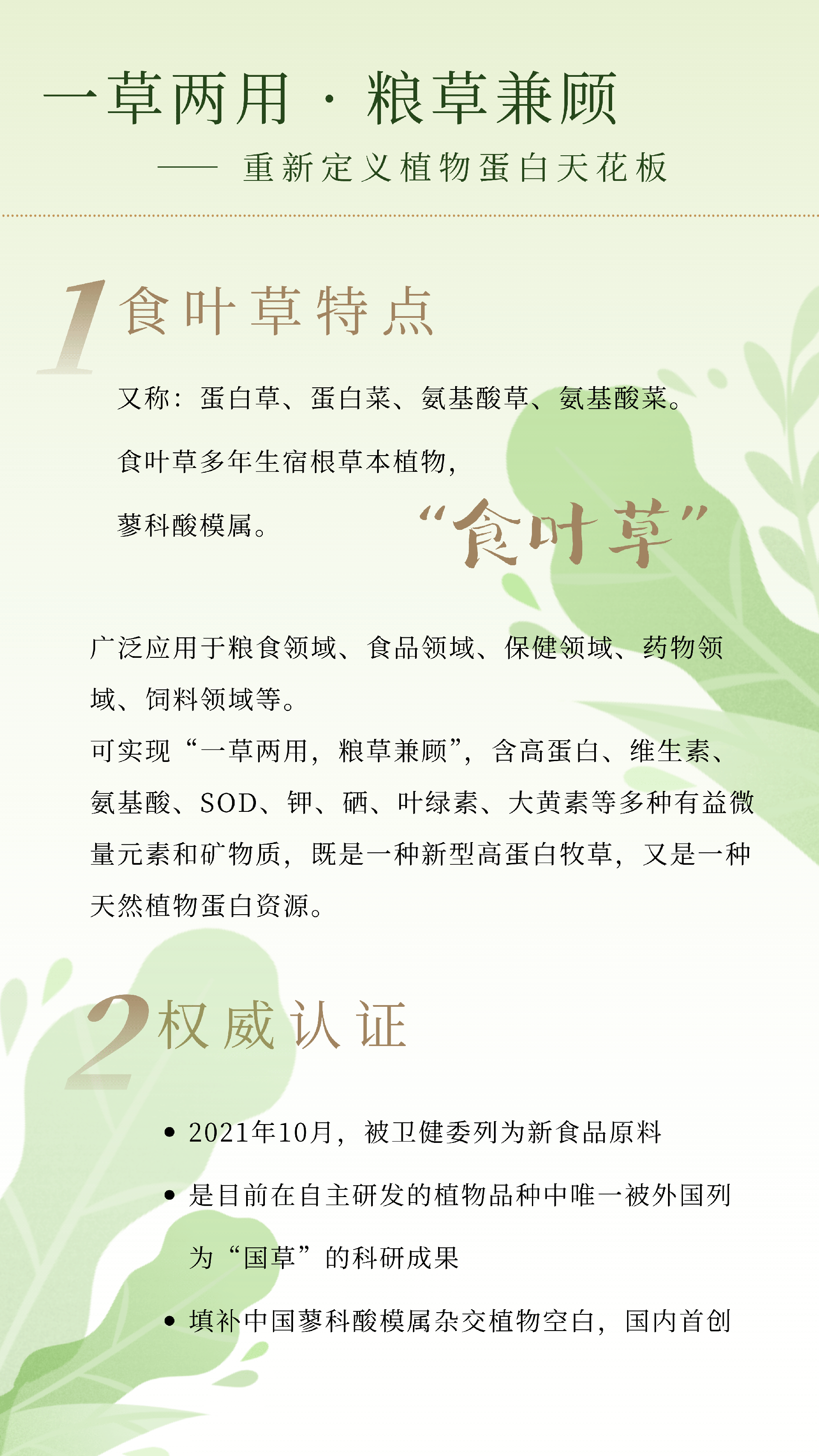 食叶草 - 2.png