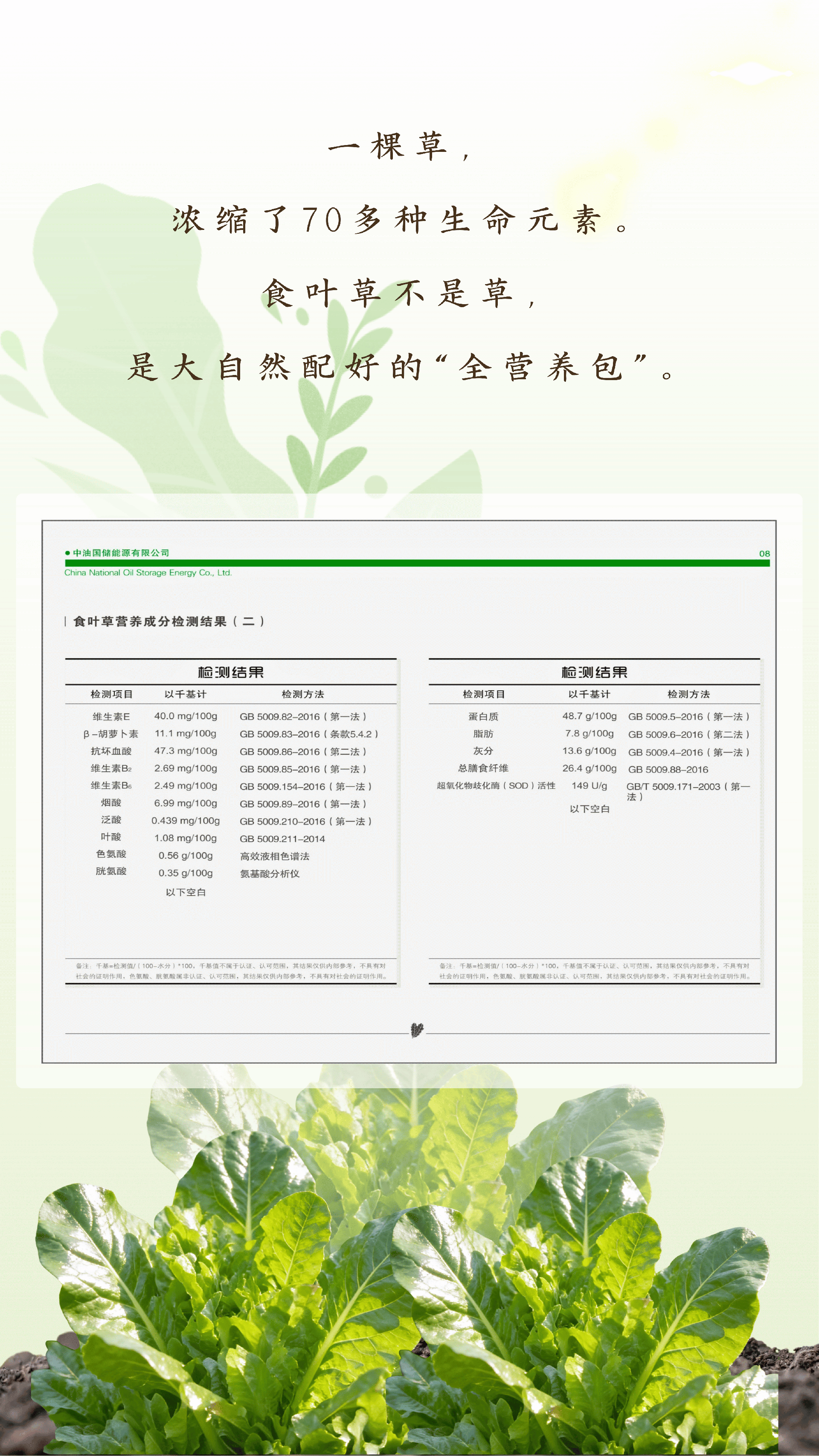 食叶草 - 5.png