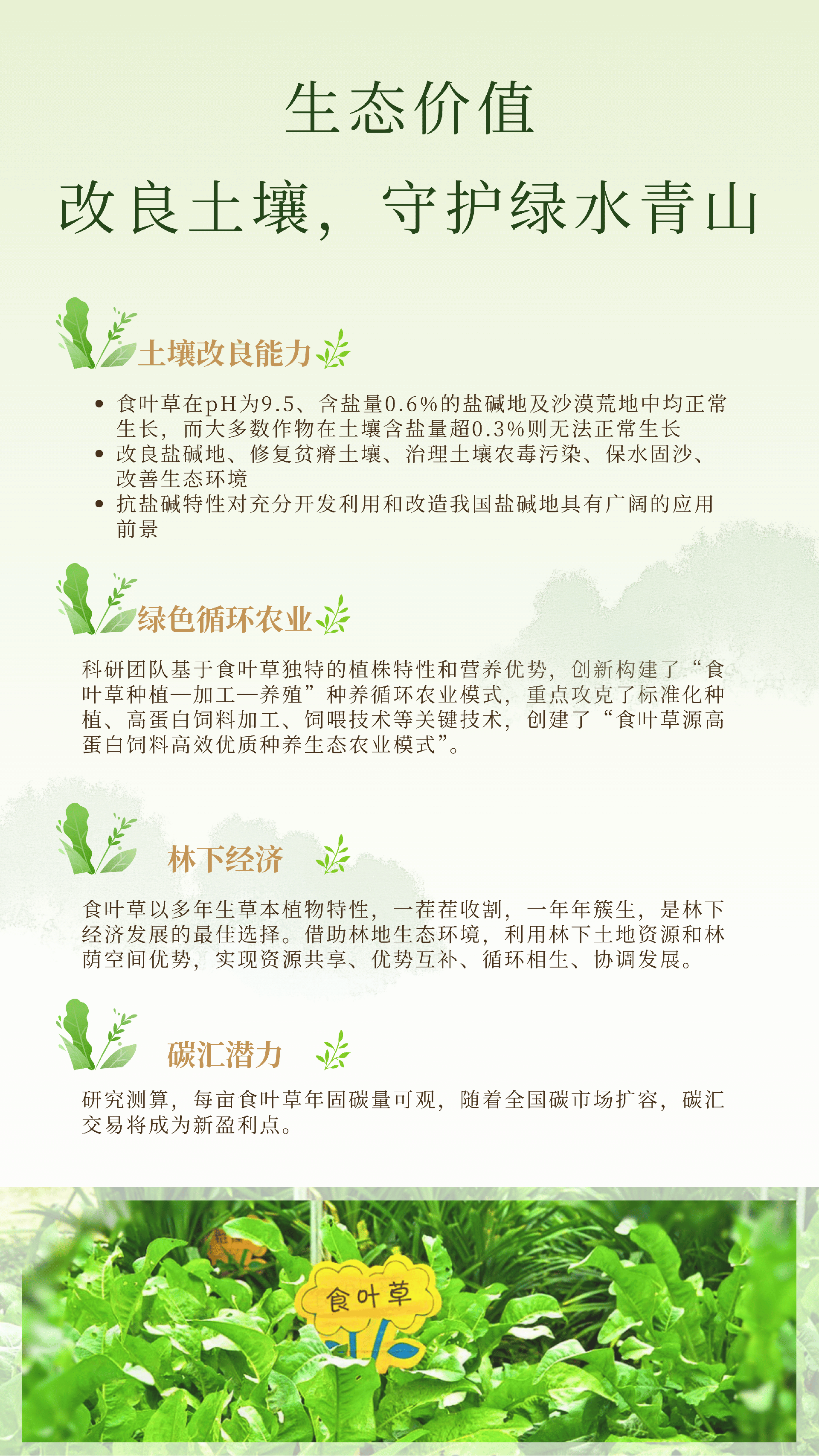 食叶草 - 8.png