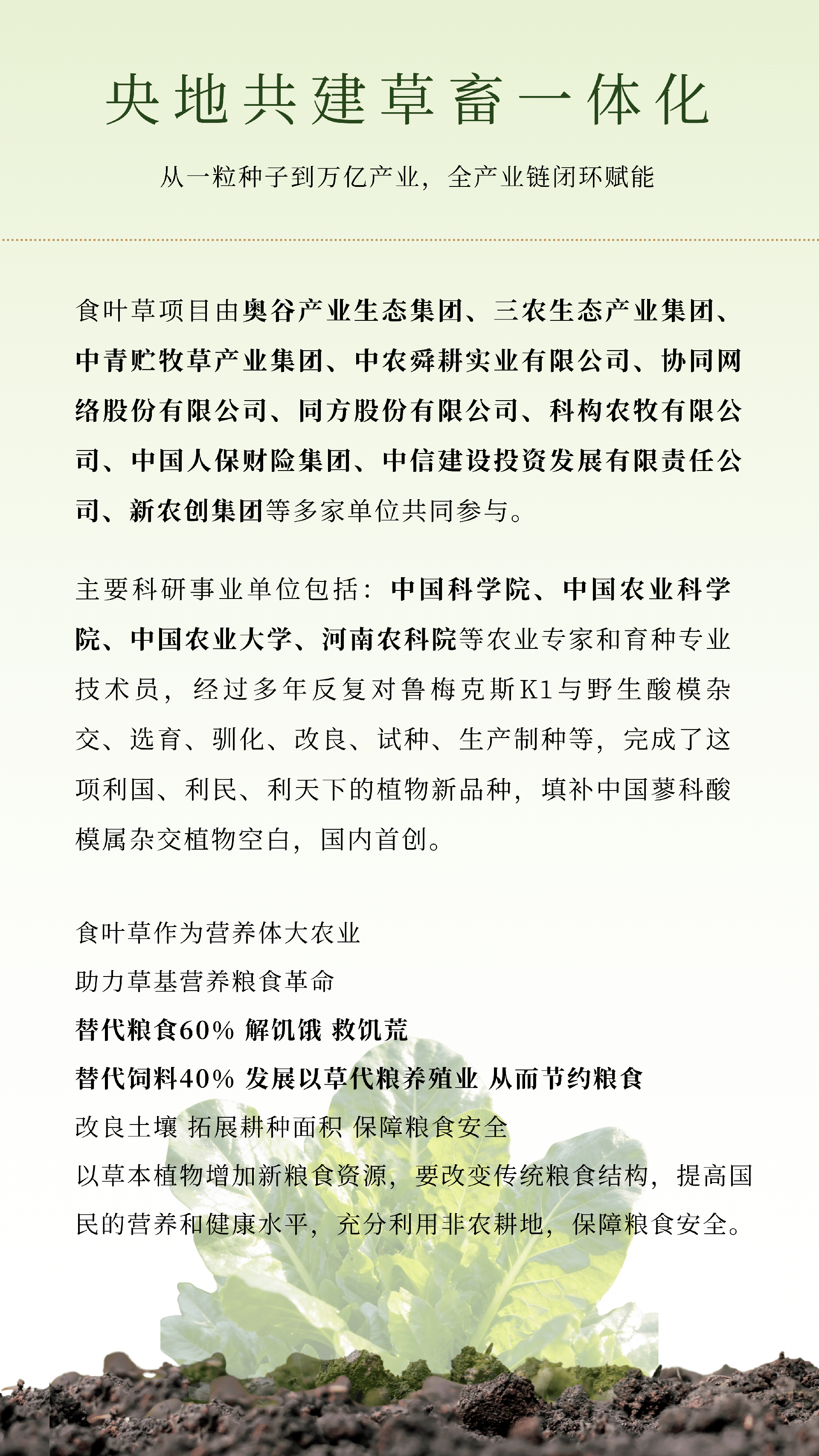 食叶草 - 9.png