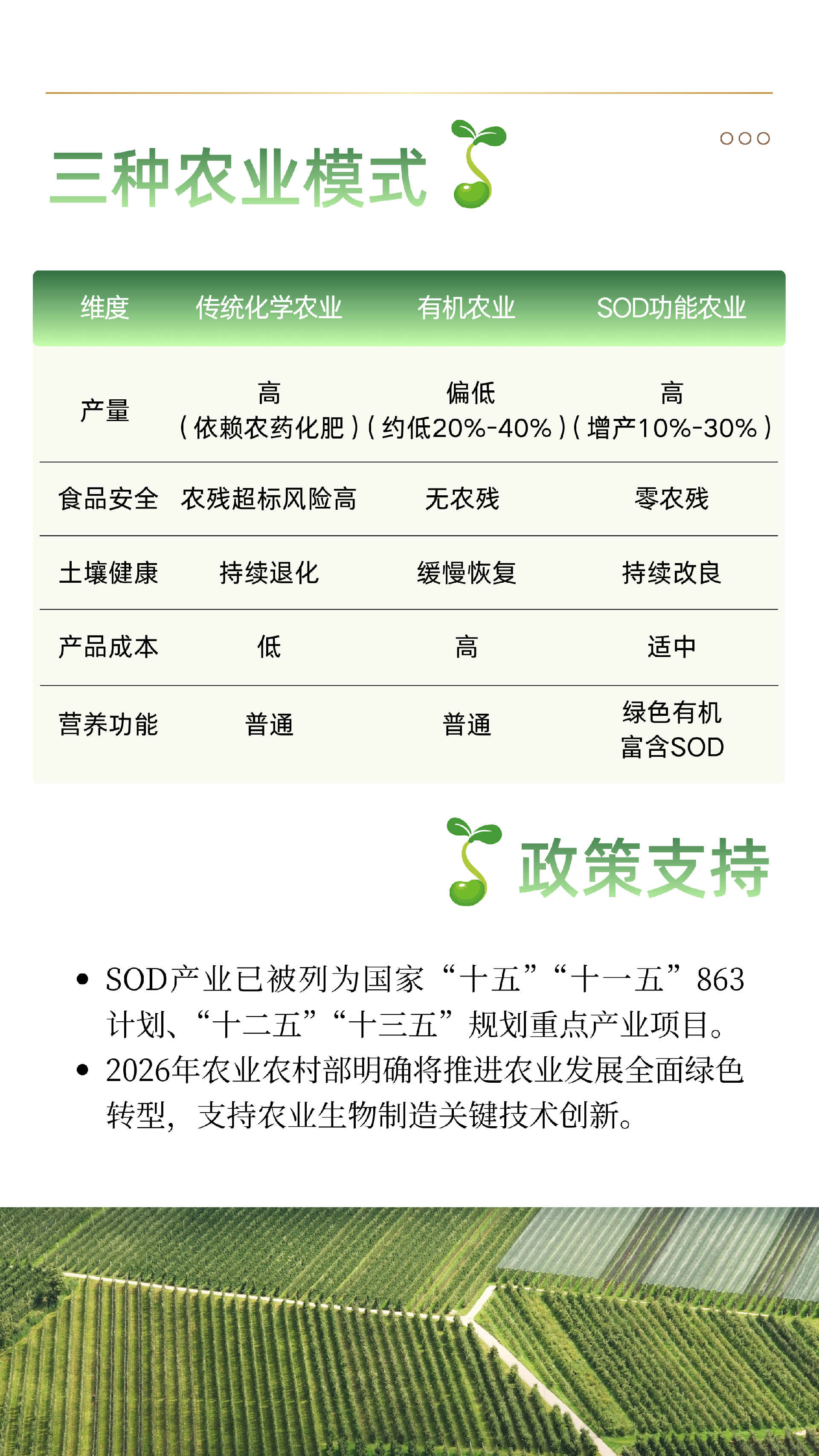 SOD酶菌剂 - 3.png