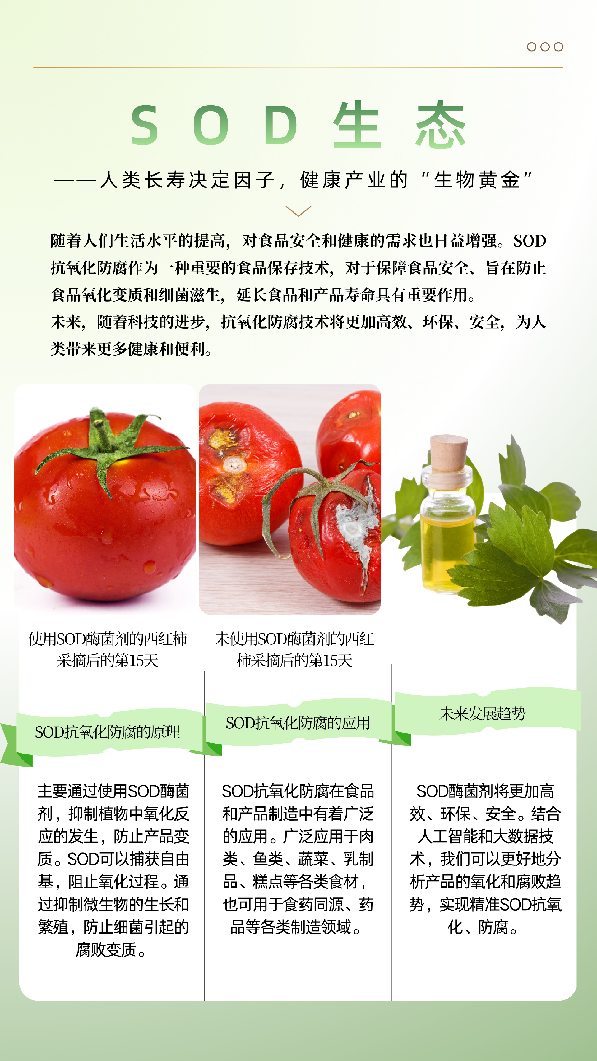 SOD酶菌剂 - 5.png