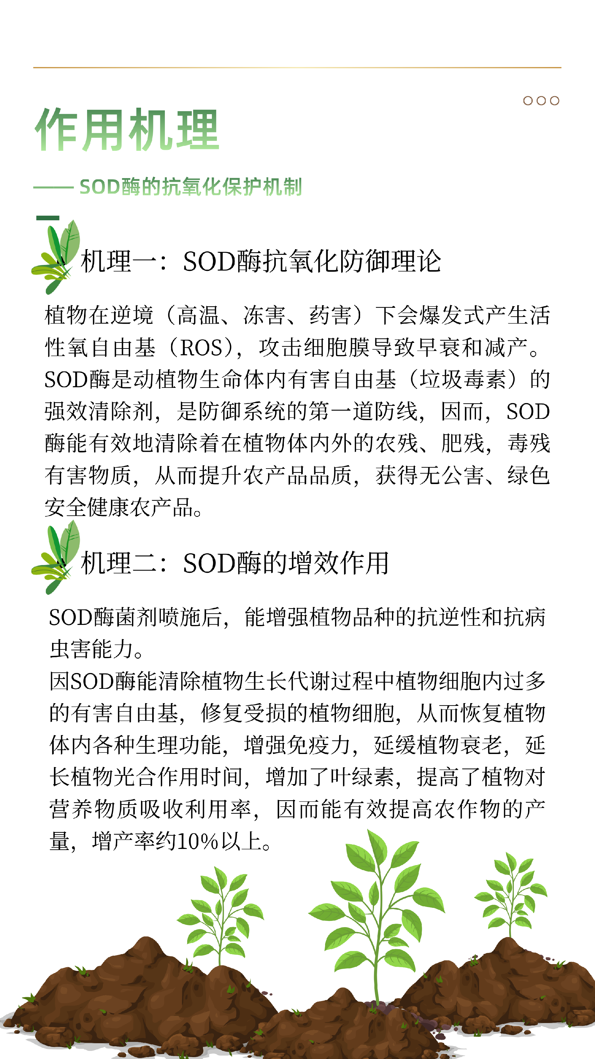 SOD酶菌剂 - 6.png
