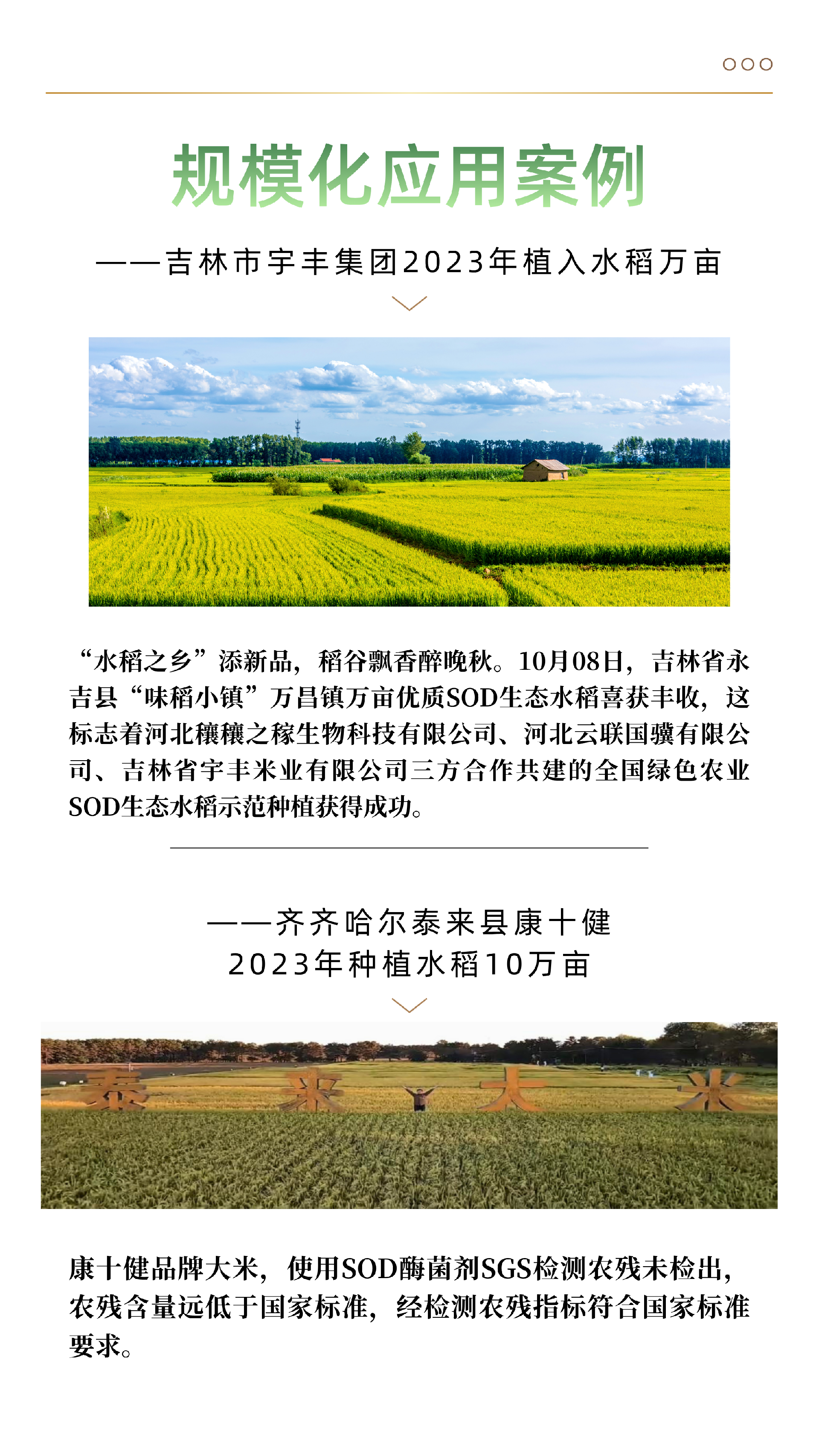 SOD酶菌剂 - 8.png