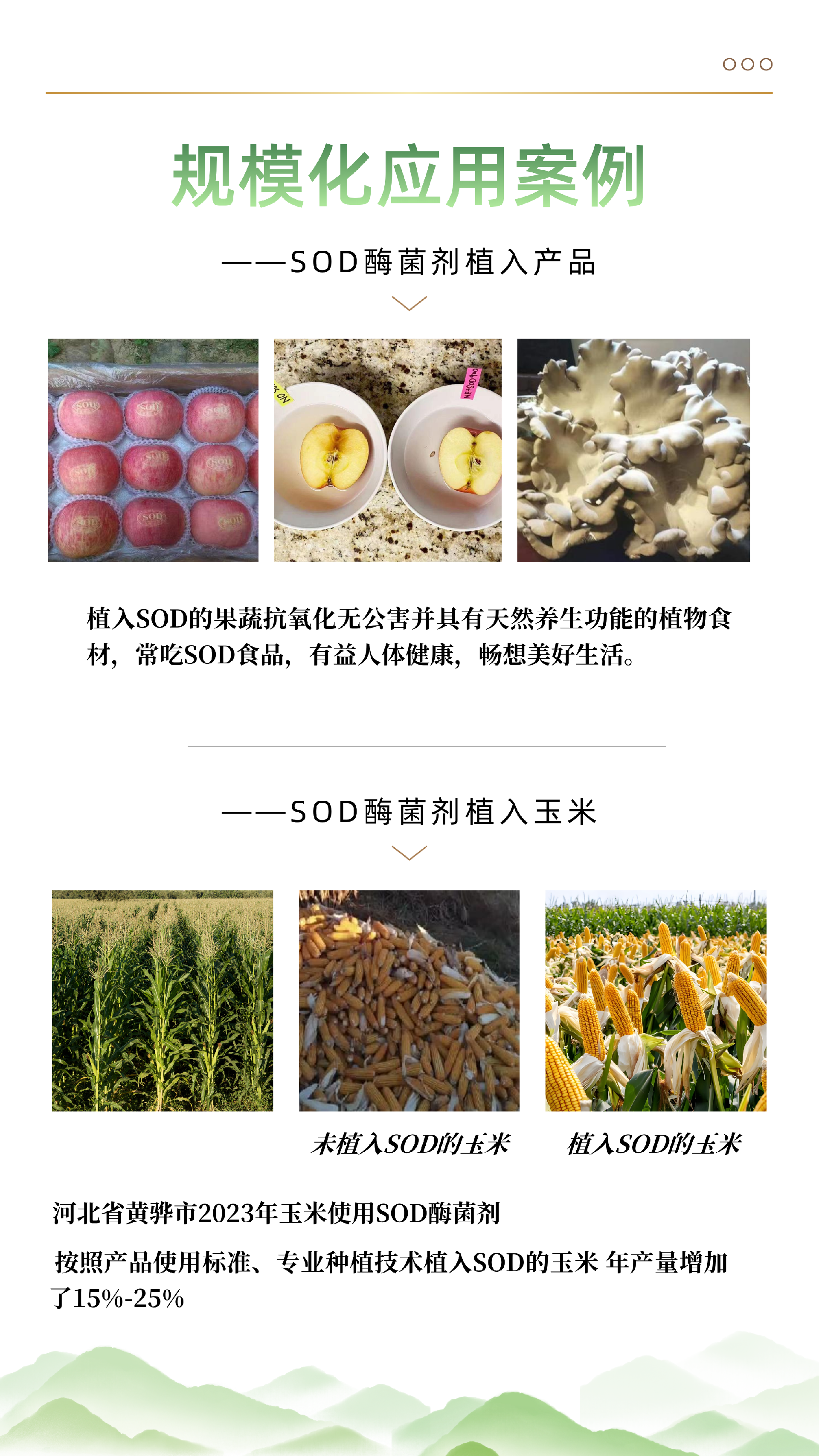 SOD酶菌剂 - 9.png