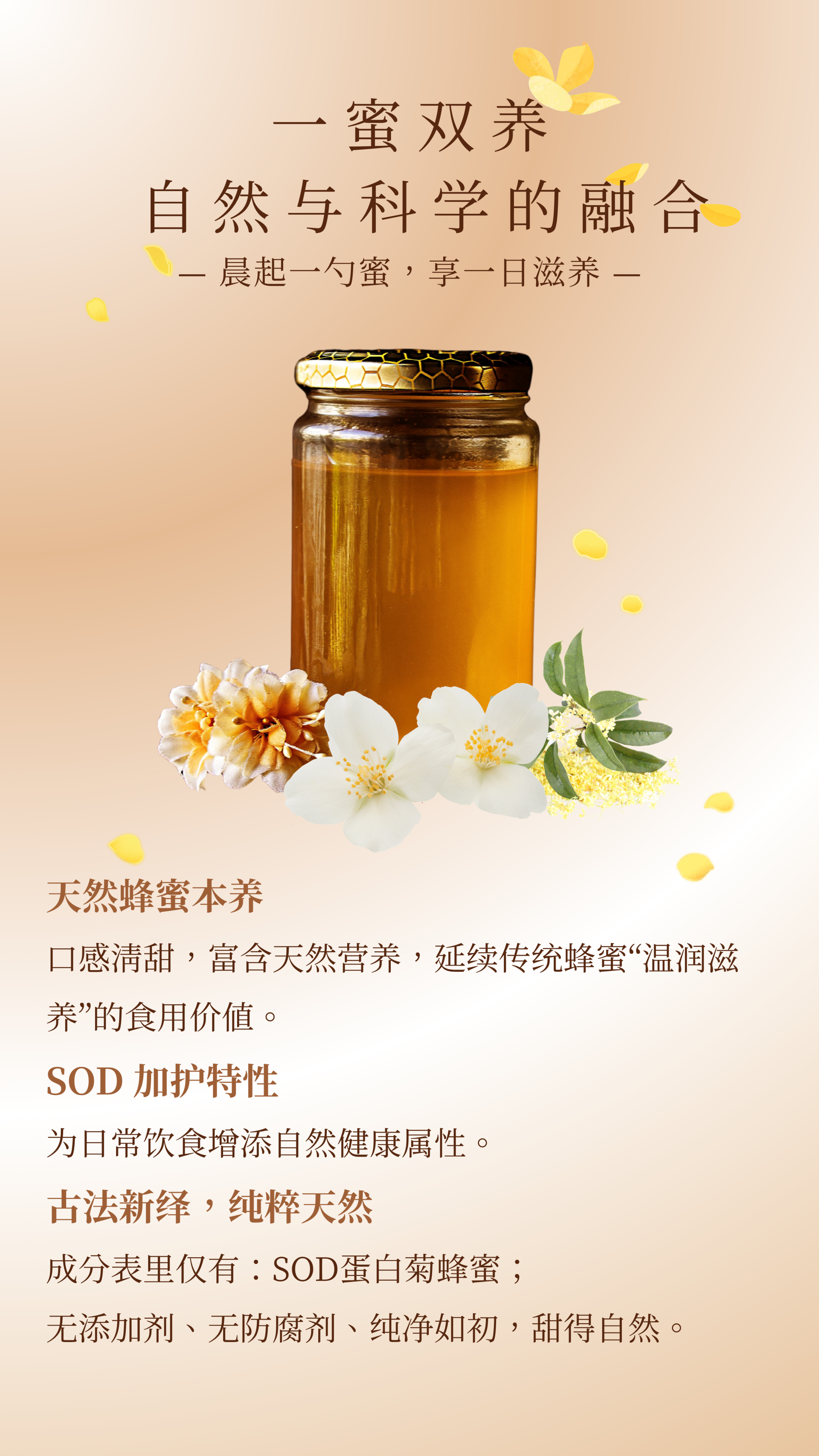 SOD蜂蜜 - 3.png