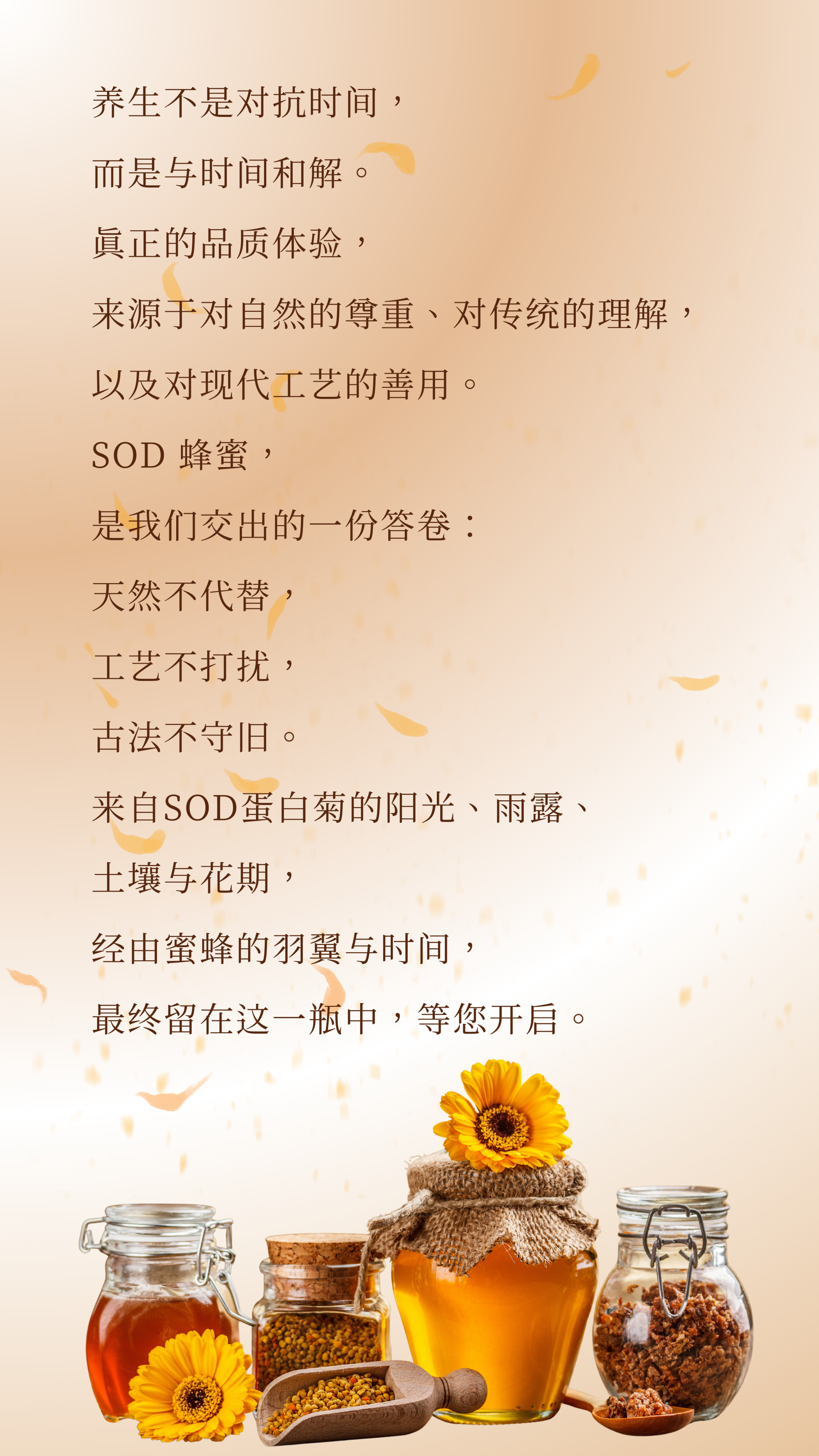 SOD蜂蜜 - 6.png
