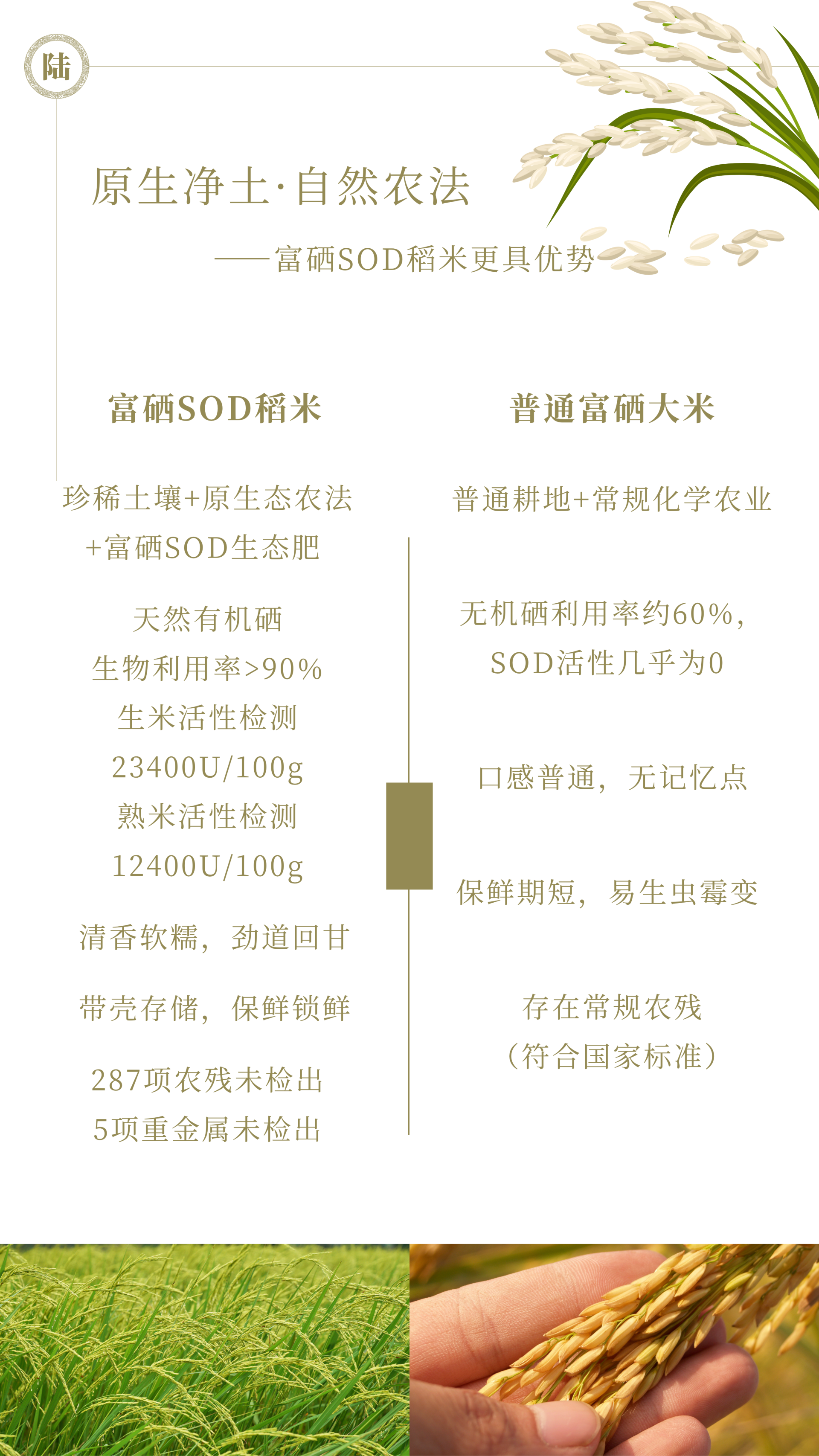 富硒SOD稻米 - 8.png